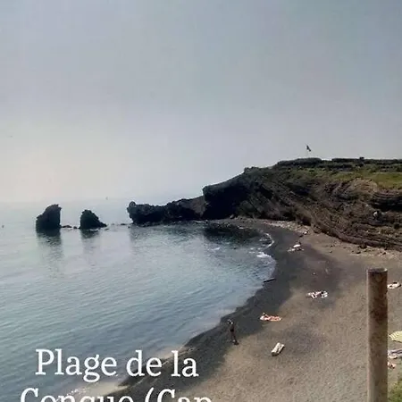 Avec Piscine Proche Plages アグド