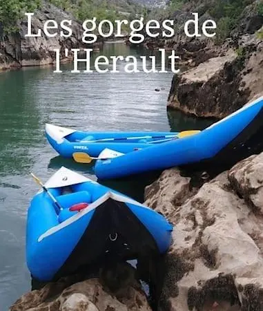 Avec Piscine Proche Plages アパート アグド