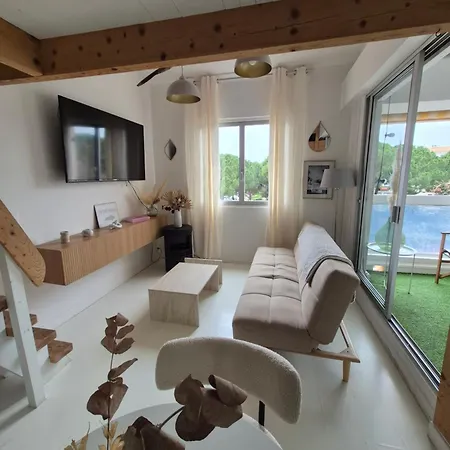 Avec Piscine Proche Plages アパート アグド